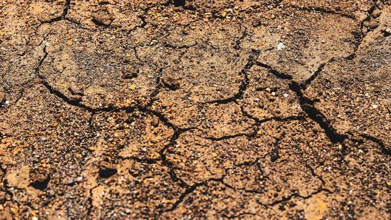 Earthquake Today: Tremors felt in Jammu, Srinagar, Punjab, Pakistan