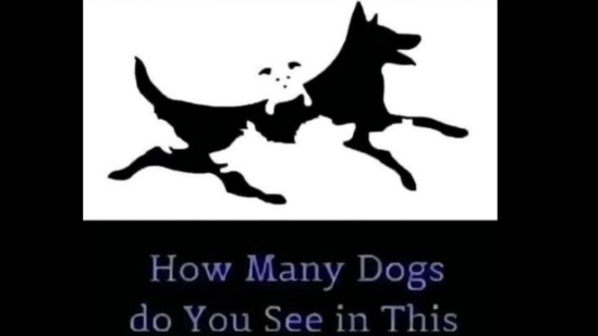 Spot the hidden dogs: Superhuman eyesight test!